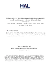 Phylogenetics of the Spiroplasma Ixodetis