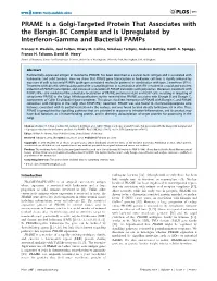PRAME Is a Golgi-Targeted Protein That Associates with the Elongin BC Complex and Is Upregulated by Interferon-Gamma and Bacterial Pamps