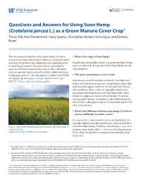 Questions and Answers for Using Sunn Hemp (Crotalaria Juncea