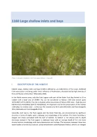 1160 Large Shallow Inlets and Bays