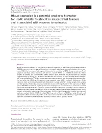 Hr23b Expression Is a Potential Predictive Biomarker for HDAC Inhibitor Treatment in Mesenchymal Tumours and Is Associated with Response to Vorinostat