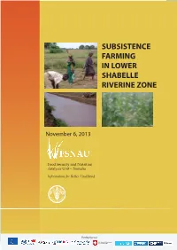 Lower Shabelle Baseline Report November, 2013