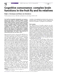 Cognitive Consonance: Complex Brain Functions in the Fruit Fly