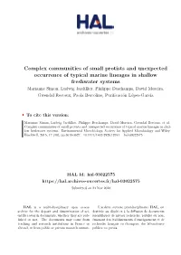 Complex Communities of Small Protists and Unexpected Occurrence Of