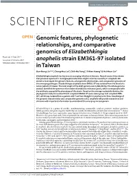 Genomic Features, Phylogenetic Relationships, and Comparative