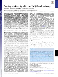 Sensing Relative Signal in the Tgf-Β/Smad Pathway PNAS PLUS