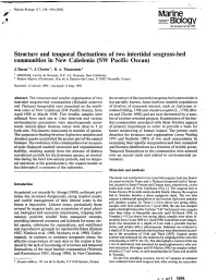 Structure and Temporal Fluctuations of Two Interdital Seagrass-Bed