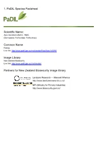 1. Padil Species Factsheet Scientific Name: Common Name Image
