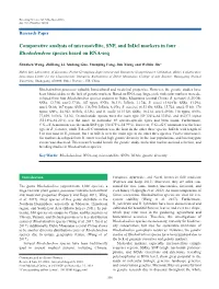 Comparative Analysis of Microsatellite, SNP, and Indel Markers in Four Rhododendron Species Based on RNA-Seq