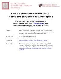 Fear Selectively Modulates Visual Mental Imagery and Visual Perception