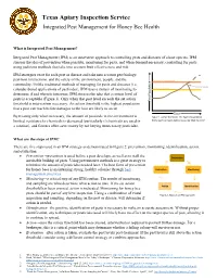 Honey Bees Is Maintaining Strong, Healthy Colonies Through Best Evaluation Monitoring Management Practices