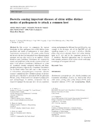 Bacteria Causing Important Diseases of Citrus Utilise Distinct Modes of Pathogenesis to Attack a Common Host