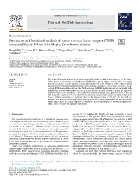Expression and Functional Analysis of Tumor Necrosis Factor Receptor (TNFR)-Associated Factor 5 from Nile Tilapia, Oreochromis N