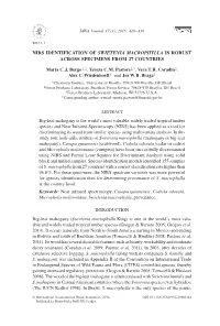 NIRS Identification of Swietenia Macrophylla Is Robust Across Specimens from 27 Countries