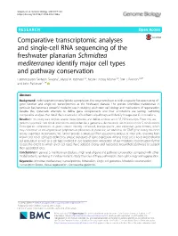 Comparative Transcriptomic Analyses and Single-Cell RNA Sequencing Of