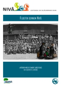 Flugten Gennem Nivå END.Pdf
