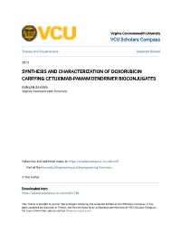 Synthesis and Characterization of Doxorubicin Carrying Cetuximab-Pamam Dendrimer Bioconjugates