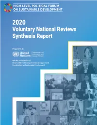VNR Synthesis Report 2020