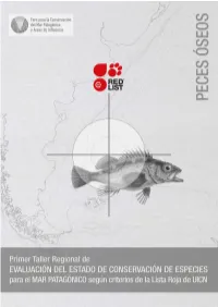 Informe-Taller-Peces.Pdf