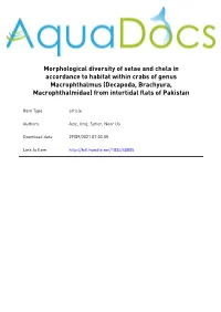 Morphological Diversity of Setae and Chela in Accordance to Habitat Within Crabs of Genus Macrophthalmus
