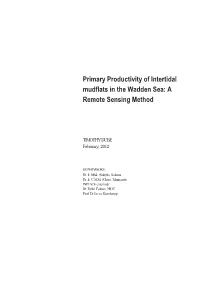 Primary Productivity of Intertidal Mudflats in the Wadden Sea: a Remote Sensing Method