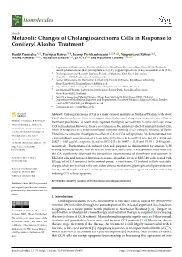 Metabolic Changes of Cholangiocarcinoma Cells in Response to Coniferyl Alcohol Treatment