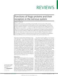 Functions of Nogo Proteins and Their Receptors in the Nervous System