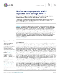 Nuclear Envelope Protein MAN1 Regulates Clock Through BMAL1