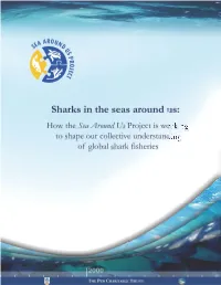 Sharks in the Seas Around Us: How the Sea Around Us Project Is Working to Shape Our Collective Understanding of Global Shark Fisheries