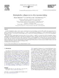 Hydrophobic Collapse In