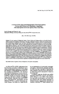 Lips in 1959, the Fltst of Many Field Parties from the University Of