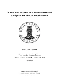 Larus Fuscus) from Urban and Non-Urban Colonies