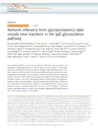 Network Inference from Glycoproteomics Data Reveals New Reactions in the Igg Glycosylation Pathway