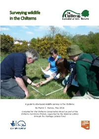 Surveying Wildlife in the Chilterns