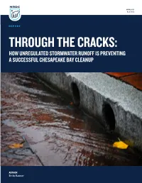 Through-Cracks-Stormwater-Runoff-Chesapeake-Bay-Report.Pdf