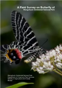 A Field Survey on Butterfly of Wangchuck Centennial National Park