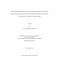 GARNETTI-THESIS.Pdf