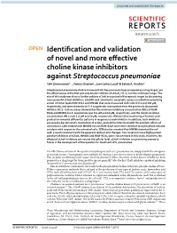 Identification and Validation of Novel and More Effective Choline Kinase