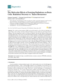 The Molecular Effects of Ionizing Radiations on Brain Cells