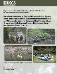 Baseline Assessment of Physical Characteristics, Aquatic Biota, and Selected Water-Quality Properties at the Reach and Mesohabitat Scale for Reaches of Big Cypress, Black Cypress