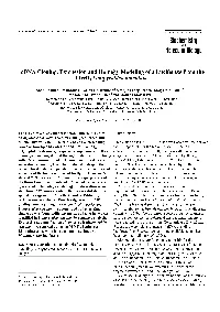 Cdna Cloning, Expression and Homology Modeling of a Luciferase from the Firefly Lampyroidea Maculata