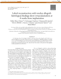 Labral Reconstruction with Tendon Allograft