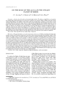 On the Role of the Alula in the Steady Flight of Birds