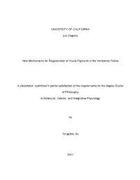UNIVERSITY of CALIFORNIA Los Angeles New Mechanisms for Regeneration of Visual Pigments in the Vertebrate Retina a Dissertation
