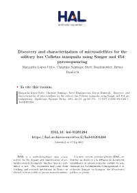 Discovery and Characterization Of