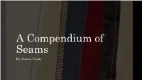 A Compendium of Seams by Austin Coody What Are Seams?