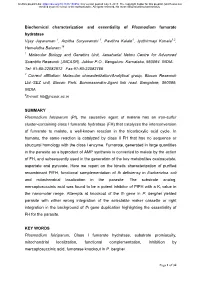 Biochemical Characterization and Essentiality of Plasmodium