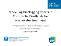 Bioclogging Effects in Constructed Wetlands for Wastewater Treatment