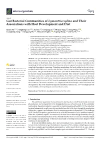 Gut Bacterial Communities of Lymantria Xylina and Their Associations with Host Development and Diet