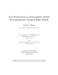 New Perspectives on Non-Negative Matrix Factorization for Grouped Topic Models